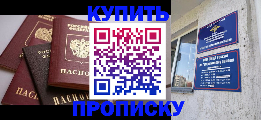найти адрес прописки в Шебекино